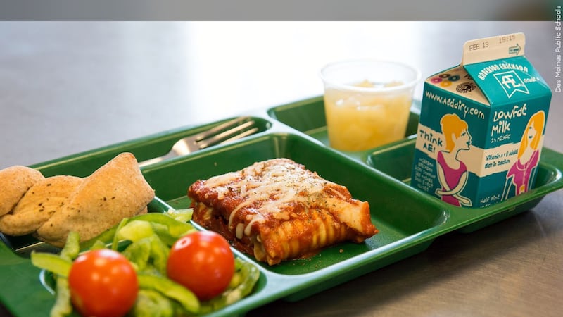 School lunch stock image