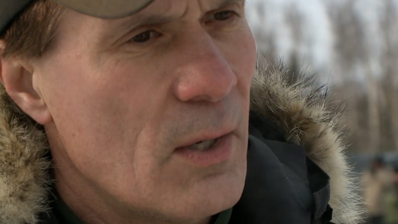 Iditarod chief veterinarian Dr. Stuart Nelson