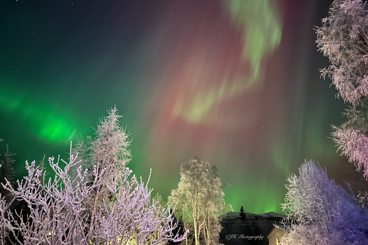 preloaded gallery image