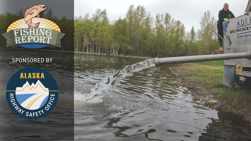 Accessibility is one of the many reasons Alaska is a prime fishing state and the number of...