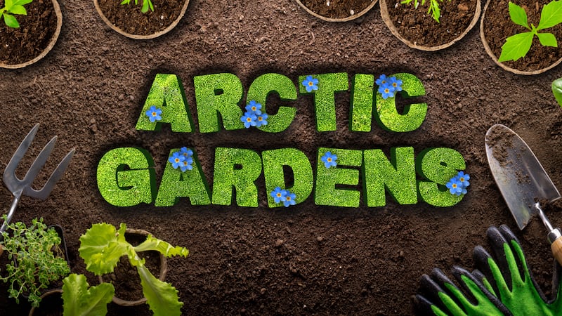 In Arctic Gardens, we look at ways to improve your northern garden and show off some examples...