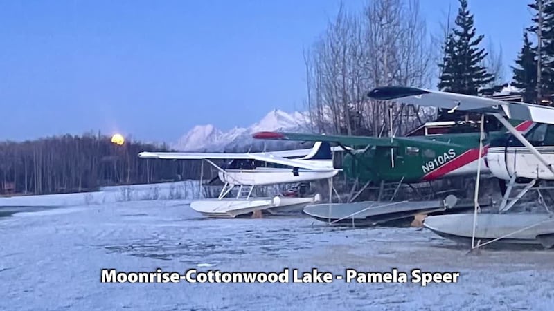 Moonrise - Pamela Speer