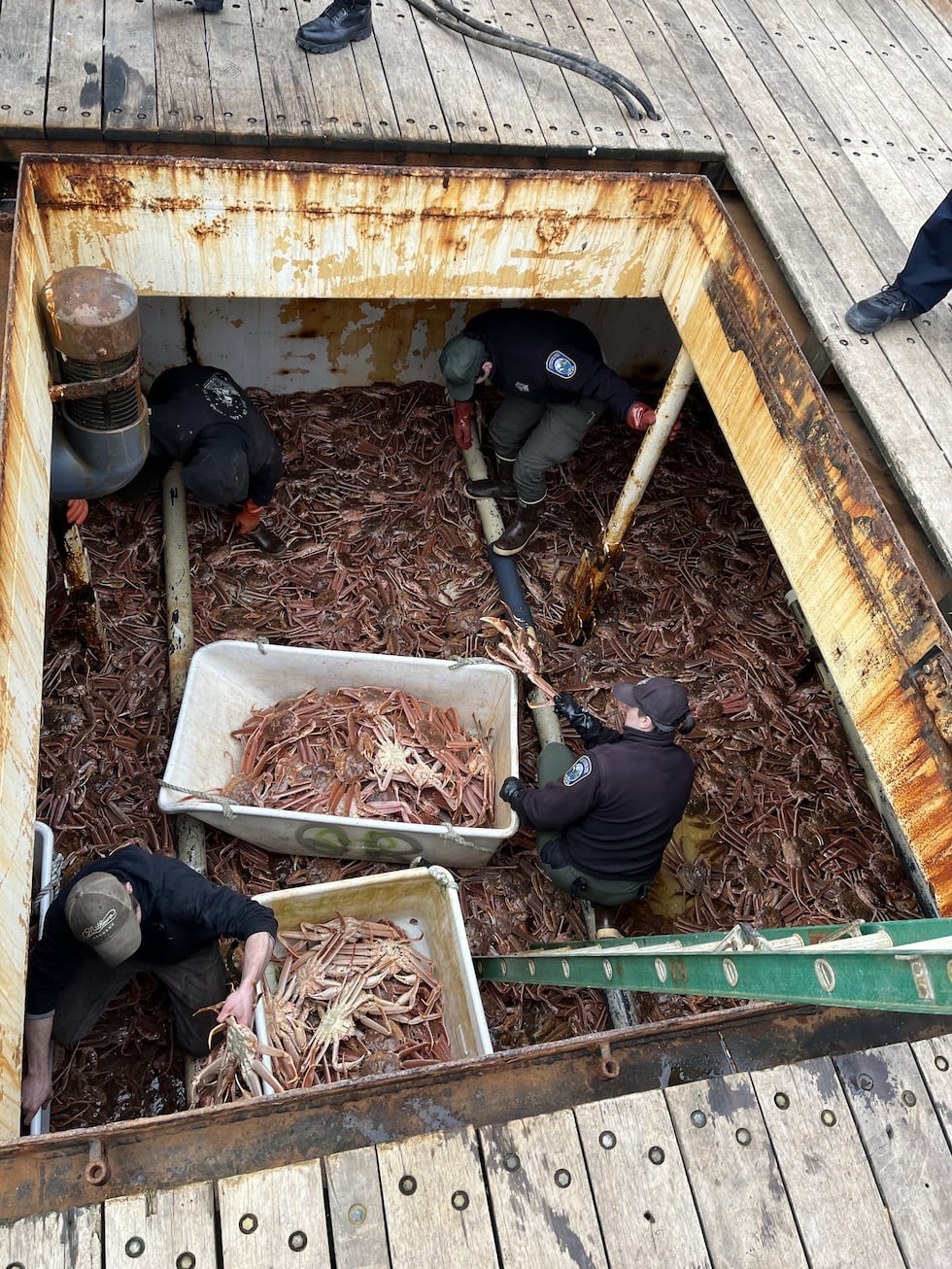 Law enforcement officers examine a load of Alaska crab, much of it infested with Bitter Crab...