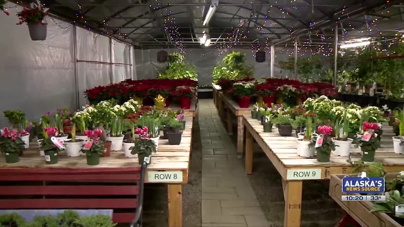 Putting a bow on the holiday season.