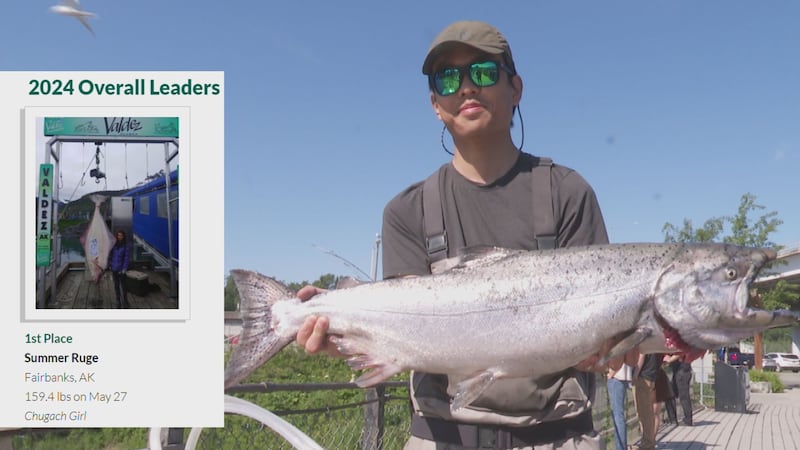 The annual Slam'n Salmon Derby and Valdez Halibut Derbies are underway with heavy fish being...