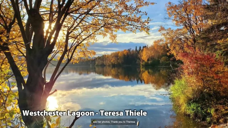 TT - Westchester Lagoon - ANC