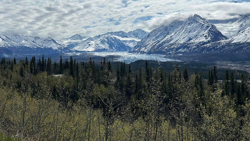 A beautiful shot of the Matanuska Glacier from the Glenn Highway