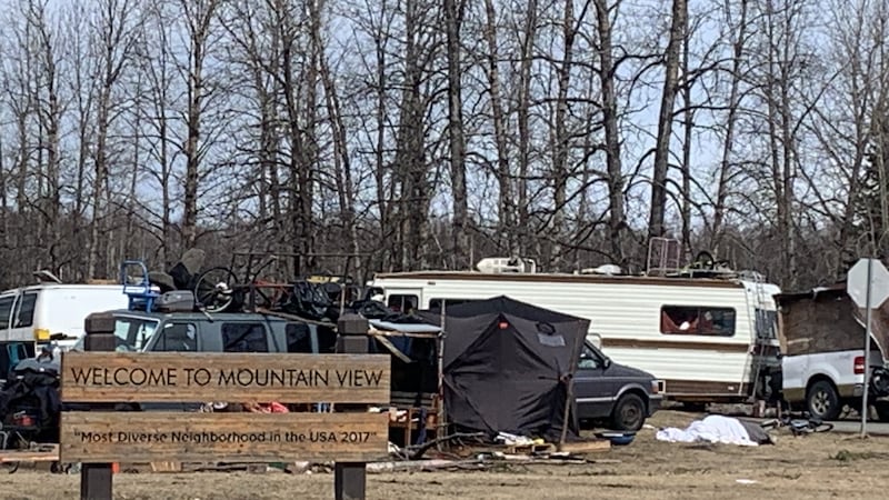 Davis Park homeless camp in Mountain View