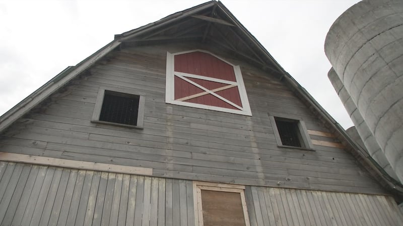 The Colony barn on Moffitt's property is an original building from 1935.