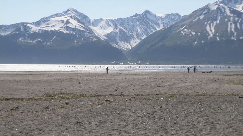 All the highlights from The Fishing Report 2022