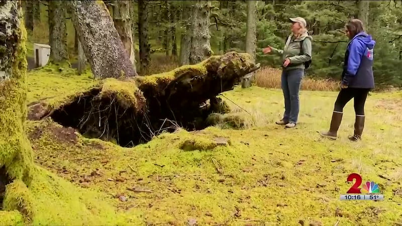Roadtrippin' 2023: Fort Abercrombie State Historical Park