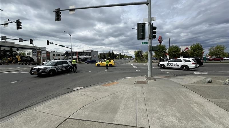 A collision between a pedestrian and vehicle briefly closed down lanes of Benson Boulevard at...