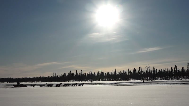 On Monday afternoon, the Iditarod Trail Committee reversed its previous decision to start the...