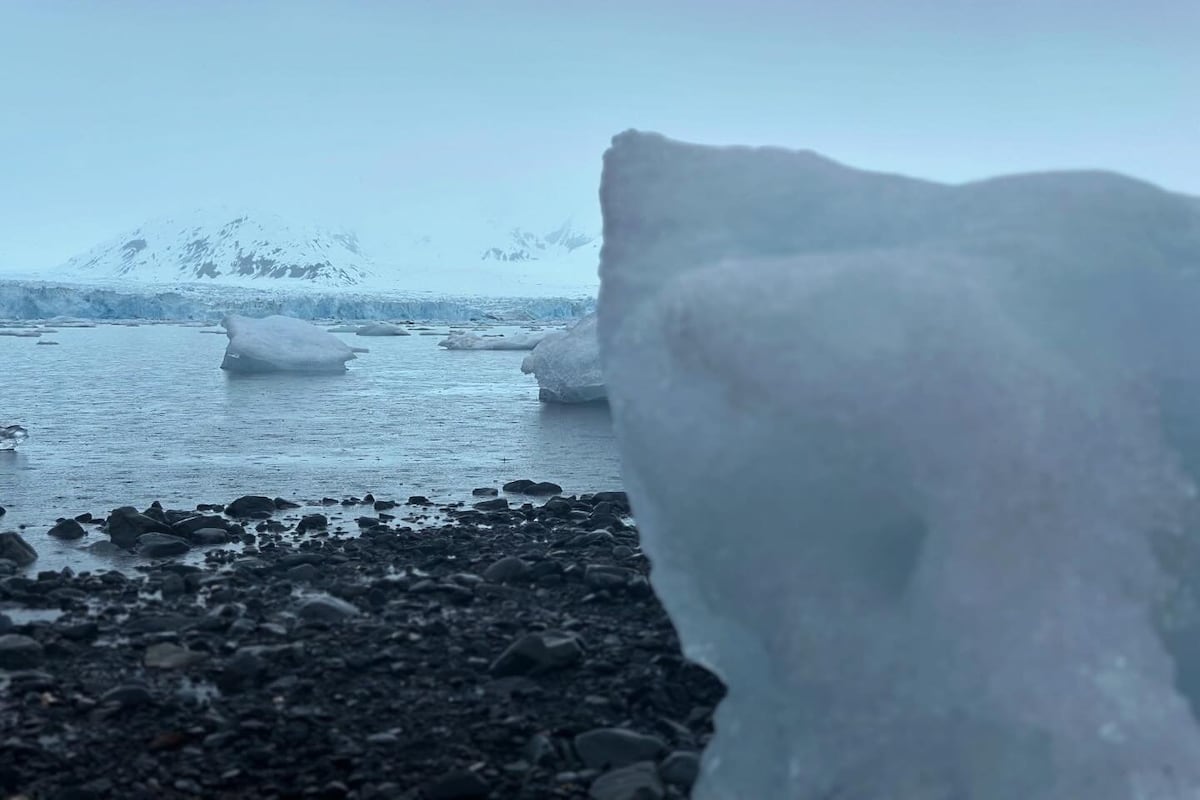 preloaded gallery image