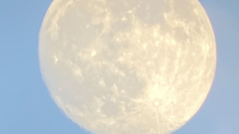 The full moon tonight will not be blue, but pink instead.