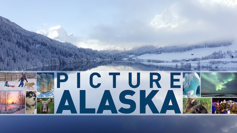 From the aurora to wildlife, scenery to the great people of our state, we share the very best...