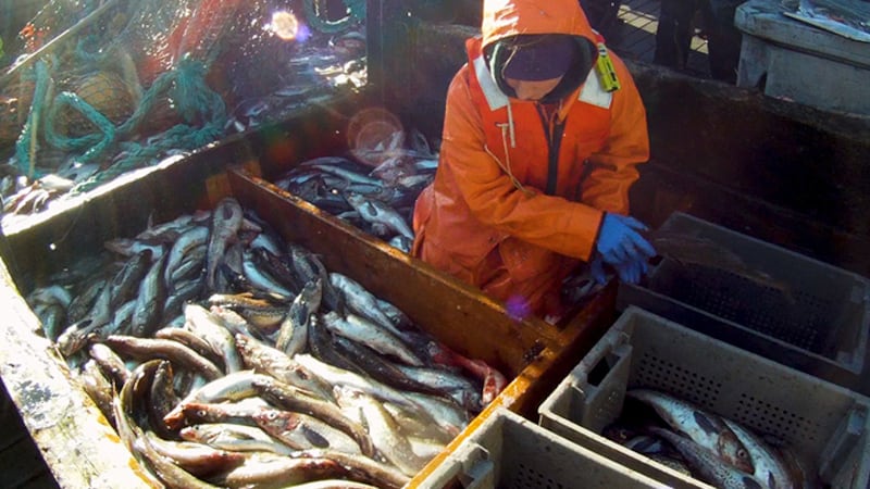 Summer job market impacted by lack of workers