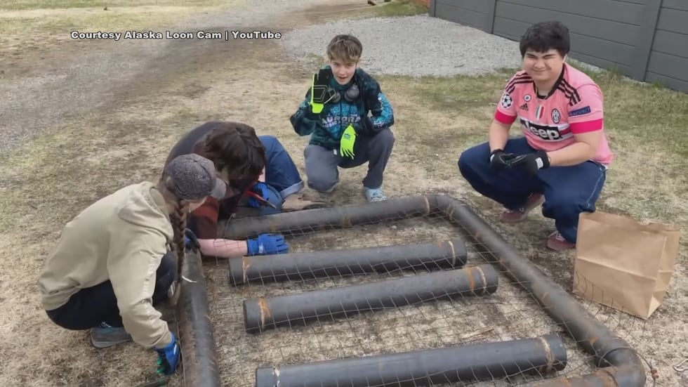 Steller Secondary students construct a "loon raft"