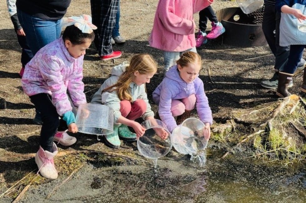 KPBSD students release salmon and trout back into the wild