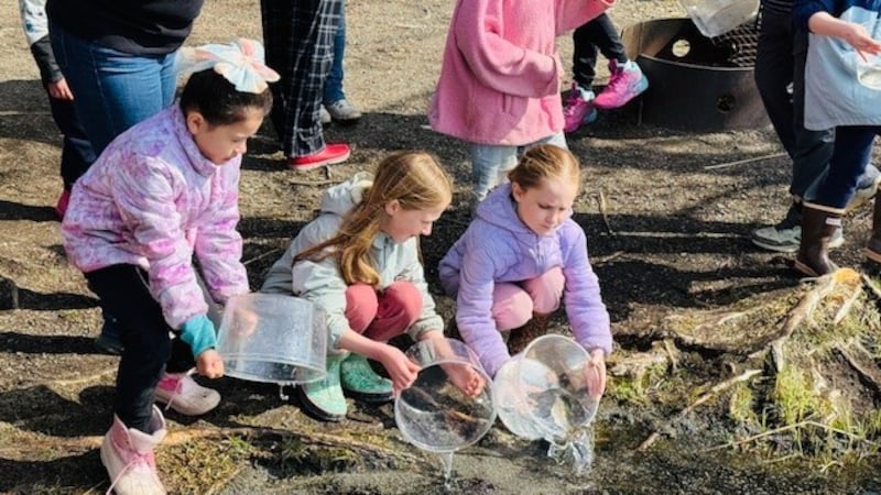 KPBSD students release salmon and trout back into the wild