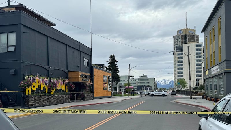 Third Avenue fatal shooting