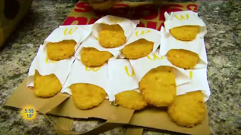 American Pest Management