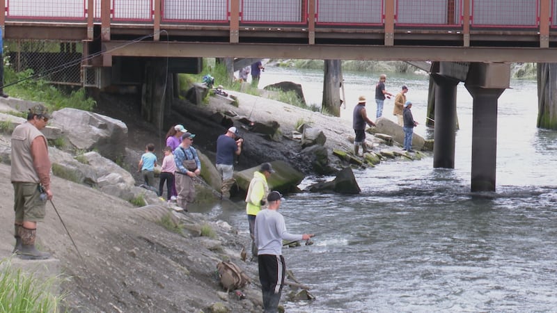 Anglers line up ship creek in hopes of catching some silver salmon.