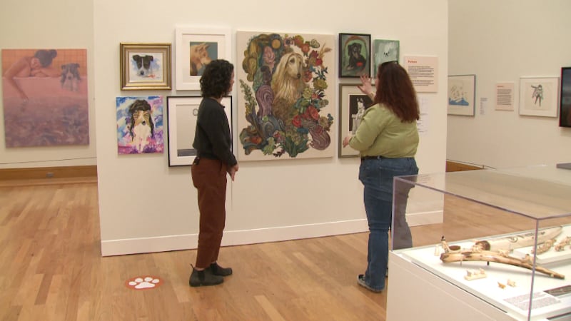 'Dog Show' at the Anchorage Museum opened to the public on May 2.