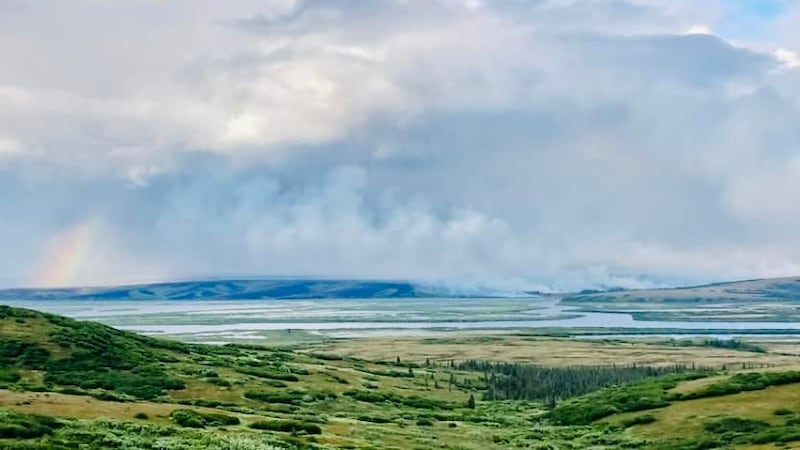 On May 31, a lighting strike created what is now called the East Fork Fire stretching at one...