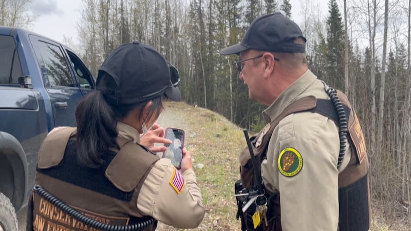 JBER Conservation Law Enforcement officers check up on a Bald Eagle.