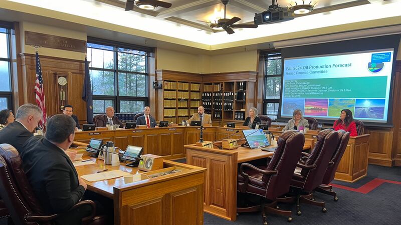 Lawmakers of the House Finance Cmte. of the 34th Legislature meet on Jan. 22, 2025.