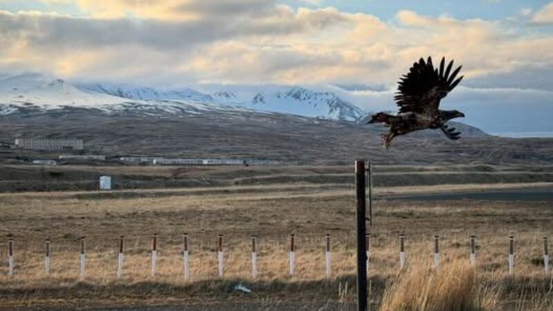 The Alaska Maritime National Wildlife Refuge is a habitat for marine mammals and some 40...