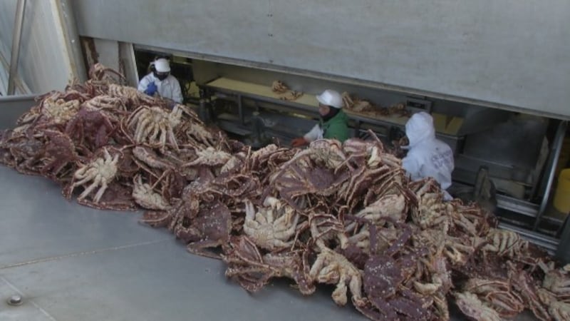 Workers at seafood processing plant in Dutch Harbor