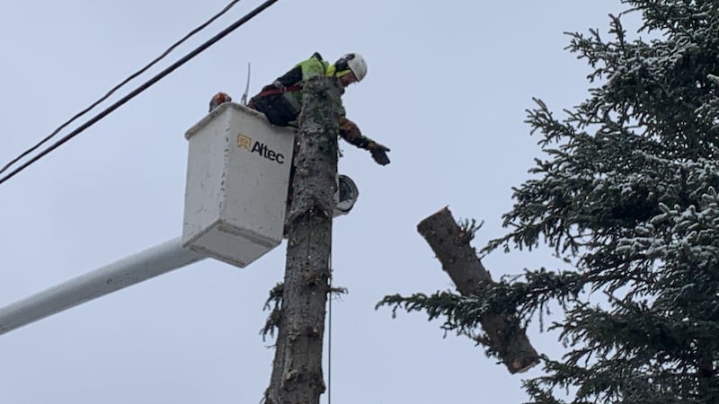 Chugach Electric has begun clearing trees from utility easements on the Anchorage Hillside