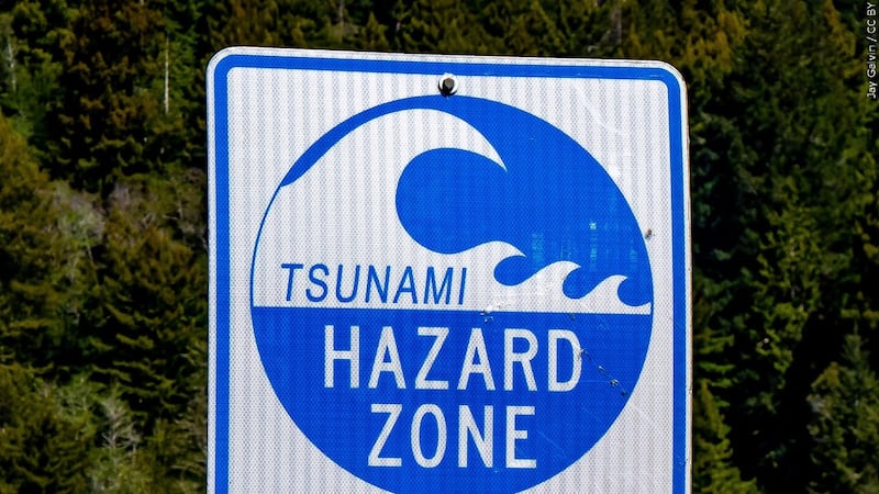 A tsunami hazard zone sign.