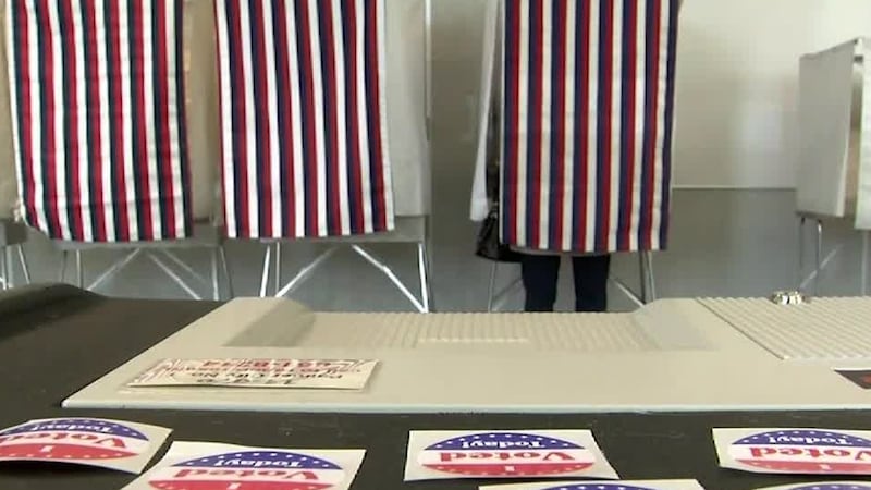 Division of Elections Director Gail Fenumiai discusses the "pick one primary" and other...