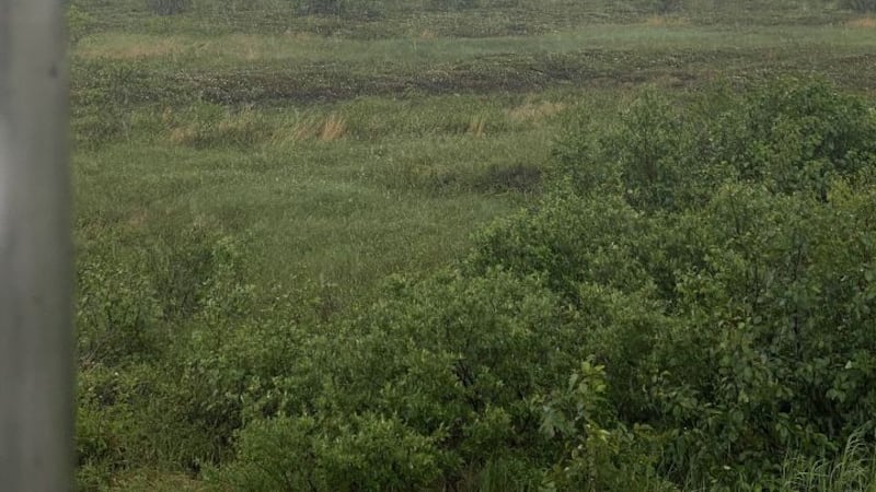 A cold air funnel was spotted in King Salmon late last week.