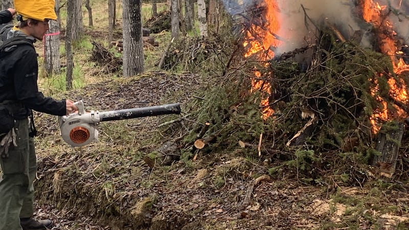 State fire crews burn debris piles near Hilltop Ski Area