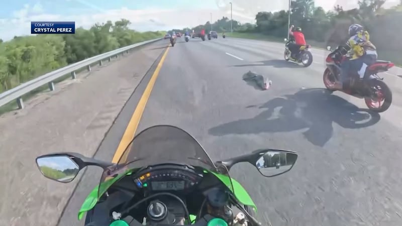 Two motorcyclists hit a 6-foot alligator in the middle of a highway, sending both bikers to...