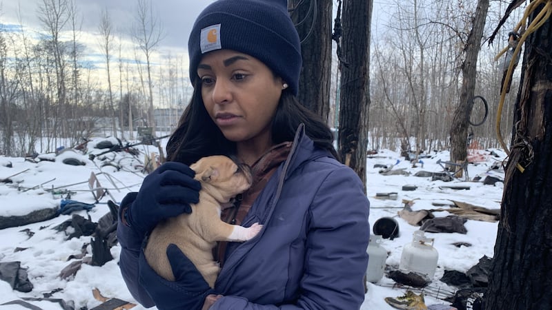 An SPCA of Alaska worker holds a two week old puppy born in an Anchorage homeless camp