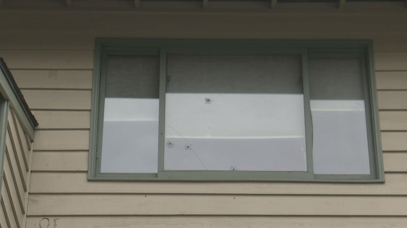 One owner says he didn't realize the gunshots came through his window until a police officer...